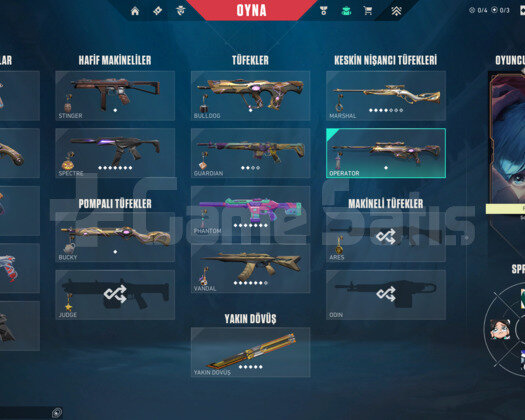 RGX KELEBEK/ONİMARU/BLASTX/ASİL E-POSTA HESAP