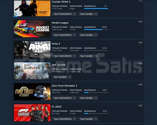 MAİNLİK  DOLU STEAM HESABI