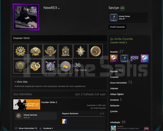 MAİNLİK DOLU STEAM HESABI