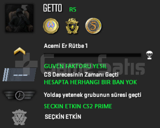 3 MADALYA | CS2 PRIME | GUVEN FAKTORU YESIL