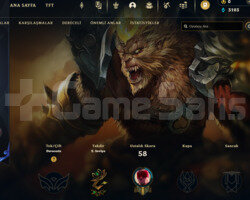 30 level rank hesap