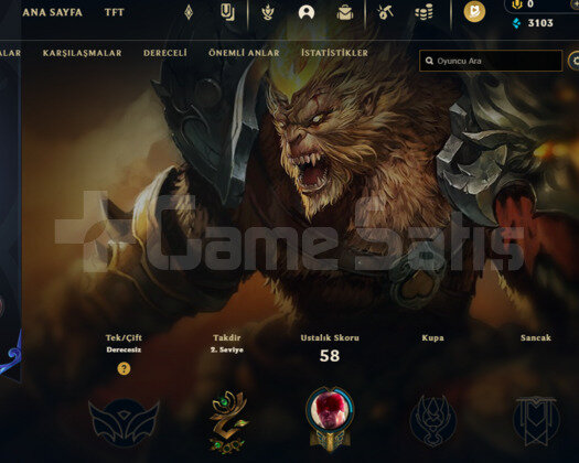30 level rank hesap