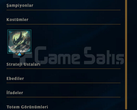 PLAT MMR / BOL LP / FRESH HESAP