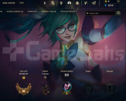 PLAT MMR / BOL LP / FRESH HESAP