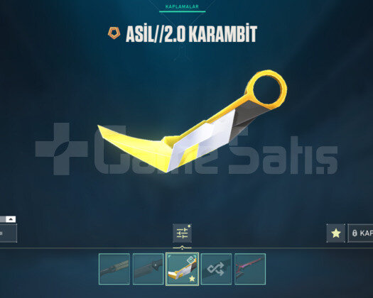 valosu immo 2 lolü master açıklamayı okulol içerik