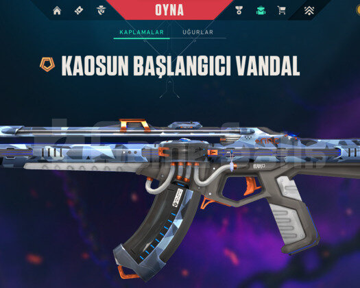 Ucuza Kaos vandallı ve kelebekli hesap
