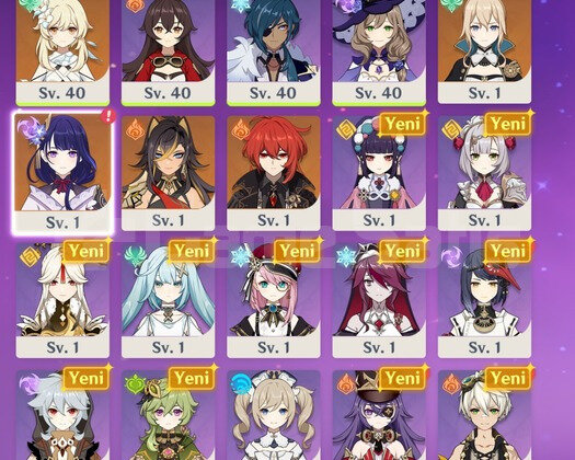 EU | MR49 C5 Raiden Şogun + Rate UP - 40Pity