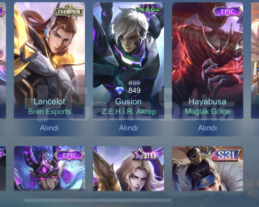 EPIC+ÖZEL EPIC VE SPECIAL DOLU +M5 PASS+EFSANE 1