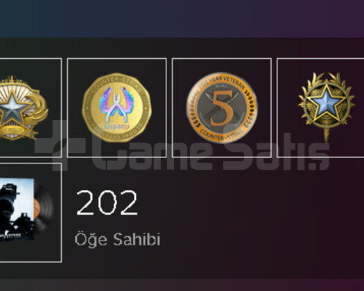 CS 3.7K SAAT 7 MADALYALI + FACEIT 10 LEVEL + OYUNL