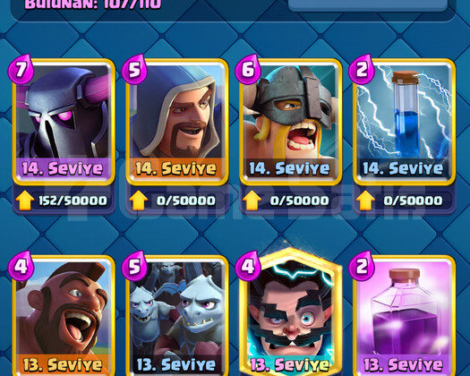 6816 Kupa Hog Rider