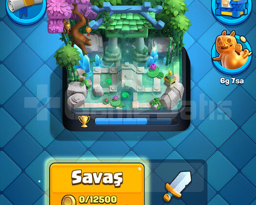 6816 Kupa Hog Rider