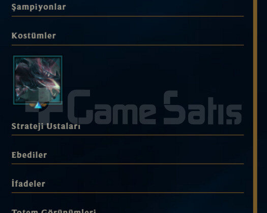 BOL KOSTÜM / BOL GANİMET / 42 LEVEL