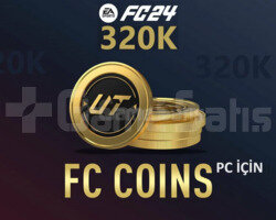 320k Coins hızlı ve güvenilir satış PC