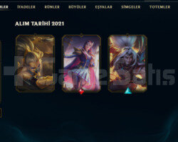 euwest 2 yıllık hesap ucuza GÜMÜŞ 3