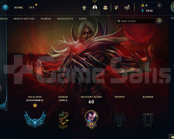 TR Plat 4 | 6 Kostüm - 33 Hero | LoL Hesap