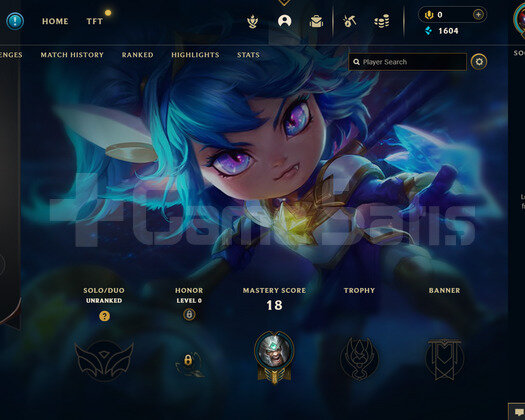 EUW Unranked | 1 Kostüm - 24 Hero | LoL Hesap