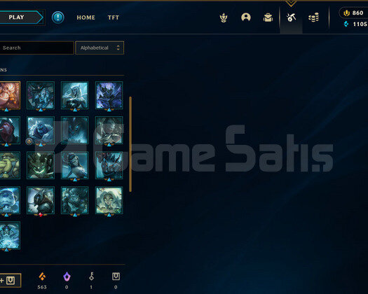D2 MAINLIK TR ACC HANDMADE