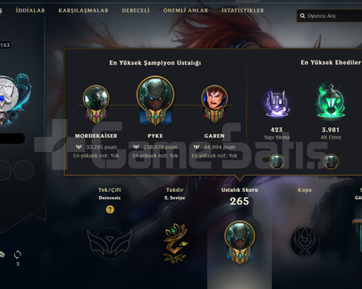 163 LEVEL 34 KOSTÜM LOL HESABI