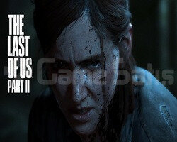 THE LAST OF US 2 PS4/PS5 | GARANTİ