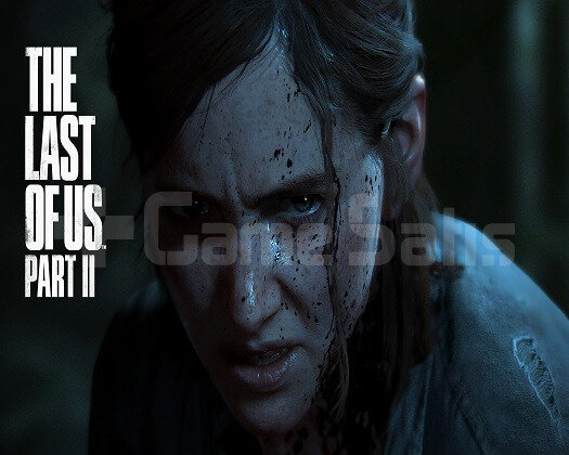 THE LAST OF US 2 PS4/PS5 | GARANTİ
