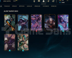 51 LEVEL / DEMİR HESAP / 120 RP