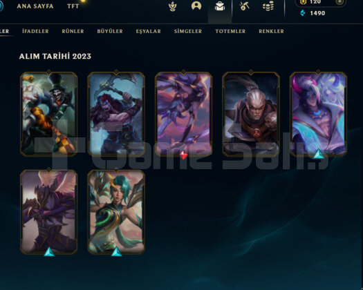 51 LEVEL / DEMİR HESAP / 120 RP