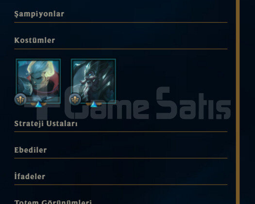 1 YILLIK / 3 KOSTÜM / FRESH HESAP