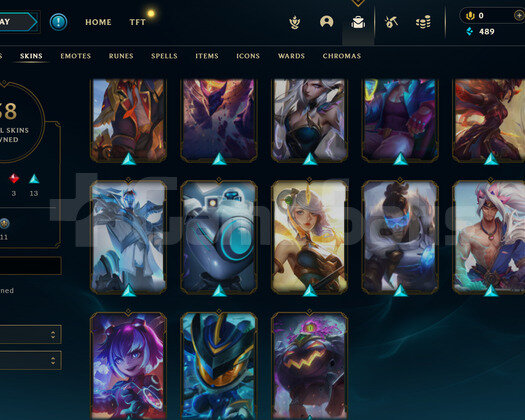 EUW 112 LEVEL -59 HERO 38 KOSTÜM HANDMADE HESAP
