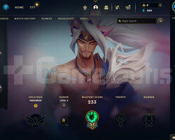 EUW 112 LEVEL -59 HERO 38 KOSTÜM HANDMADE HESAP