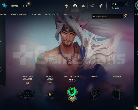 EUW 112 LEVEL -59 HERO 38 KOSTÜM HANDMADE HESAP