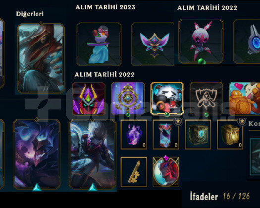 38 LEVEL 5 DEĞERLİ SKİN