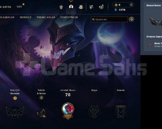 38 LEVEL 5 DEĞERLİ SKİN
