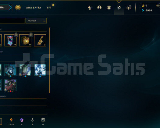 TR HANDMADE UNRANKED GANİMETİ DOLU