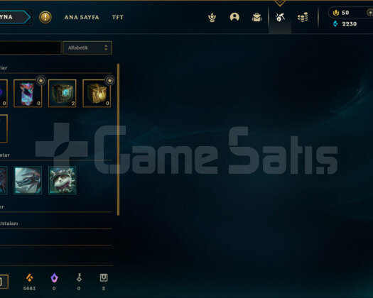 TR HANDMADE UNRANKED 13 KOSTÜM