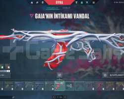 TR MAİL DEĞİŞEN GOLD 1 + SKİNLİ