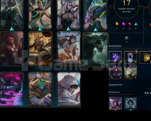 EUW 67 LEVEL HANDMADE SKİNLİ LOL HESABI
