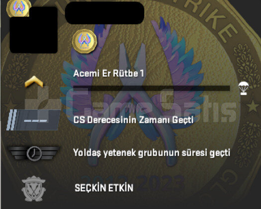 CS2 PRIME ACIKLAMAYI OKU!