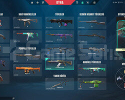 TR SERVER| KILIÇ+BOL SKİNLİ MAİNLEMELİK HESAP