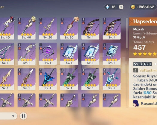 AR 49 C3 Raiden + Bis + C6 Sara 2x5 standart