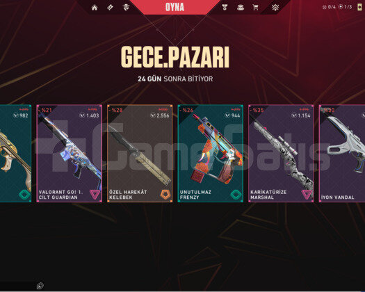 YAĞMACI VANDALLI BIÇAKLI MAILLI HESAP
