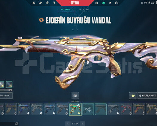 EJDERIN BUYRUĞU VANDALLI MAILLI GÜMÜŞ 2