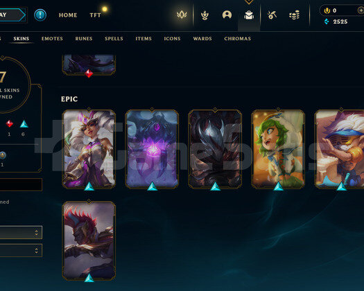EUW 50 LEVEL - 29 HERO 7 KOSTÜM HANDMADE HESAP