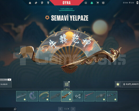 SEMAVİ YELPAZE/PROTOKOL/İYON E-POSTA HESAP