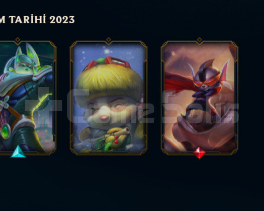 FRESH / PLAT MMR / 2 YILLIK HESAP