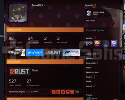 +100 OYUN 32 SEVİYE STEAM 520 SAAT RUST CS PRIME