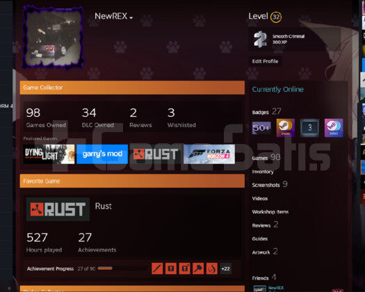 +100 OYUN 32 SEVİYE STEAM 520 SAAT RUST CS PRIME