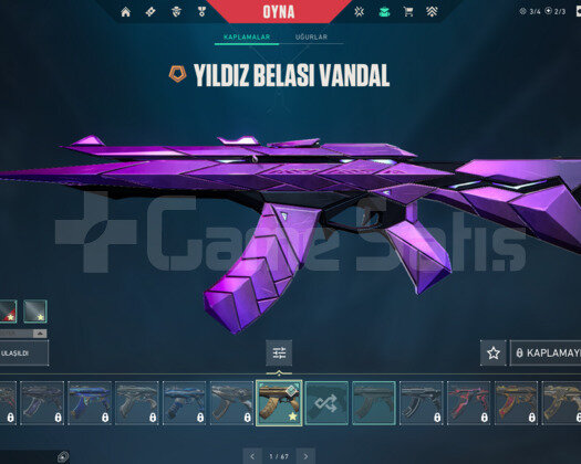 DİA ÖZ. HAREKAT BIÇ YILDIZ BELASI VANDAL VIDEOLU