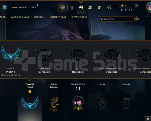 TR PLAT 1 +65WR / 6 SKIN 23 ŞAMP / NO BAN / 31K BE