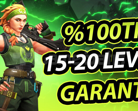 TR SUNUCU 15-20 LEVEL MAİL DEĞİŞEN / HEMEN TESLİM