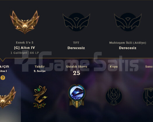 PLAT / KALİTELİ KOSTÜMLER/ 39 LEVEL